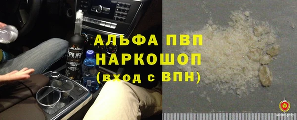 сатива Абинск