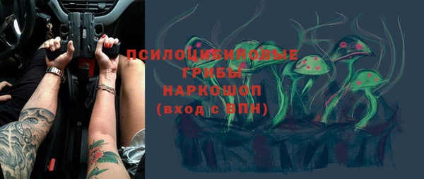 ПСИЛОЦИБИНОВЫЕ ГРИБЫ Абаза