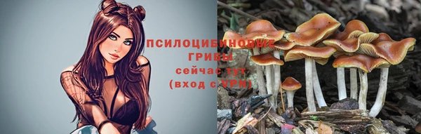 ПСИЛОЦИБИНОВЫЕ ГРИБЫ Абаза