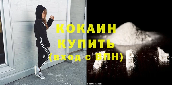 ПСИЛОЦИБИНОВЫЕ ГРИБЫ Абаза