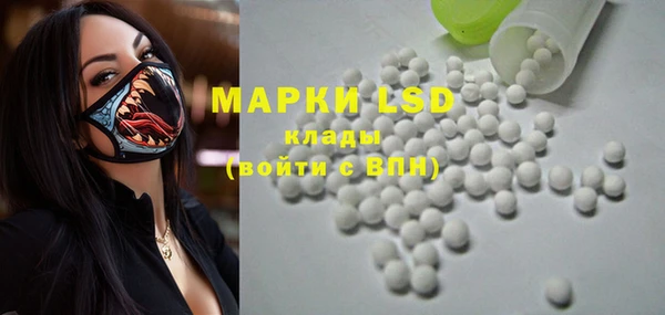 ПСИЛОЦИБИНОВЫЕ ГРИБЫ Абаза