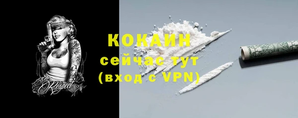 ПСИЛОЦИБИНОВЫЕ ГРИБЫ Абаза
