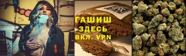 ПСИЛОЦИБИНОВЫЕ ГРИБЫ Абаза