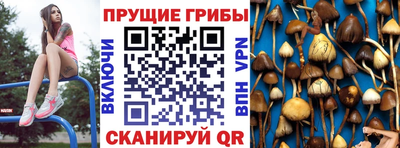Псилоцибиновые грибы мухоморы  МЕГА ССЫЛКА  Козловка 